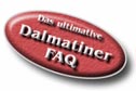 Das ultimative Dalmatiner-FAQ! Hier gibt's alles Wissenswertes über die Dalmatiner