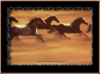 Klicke um diese Pferde-Postkarte zu verschicken