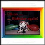 Oh no - Birthday again....!